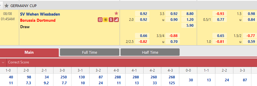 Wehen Wiesbaden vs Dortmund