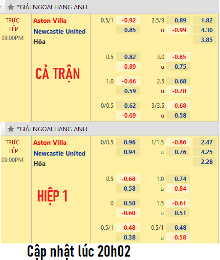 Aston-vs-Newcastle