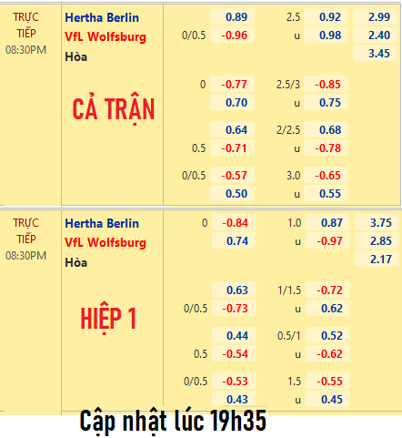 Hertha-Berlin-vs-Wolfsburg