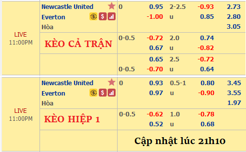 Newcastle-vs-Everton