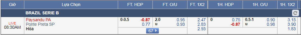 Nhận định bóng đá Paysandu vs Ponte Preta, 07h30 ngày 08/8: Hạng 2 Brazil
