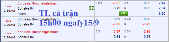 CHỐT KÈO TRỰC TIẾP trận Gladbach vs Schalke