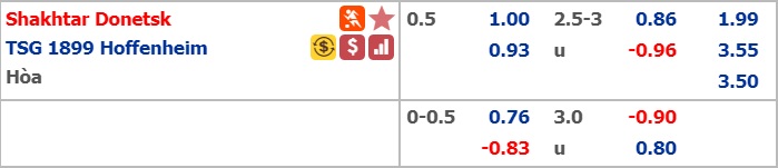 Soi kèo bóng đá Shakhtar Donetsk vs Hoffenheim