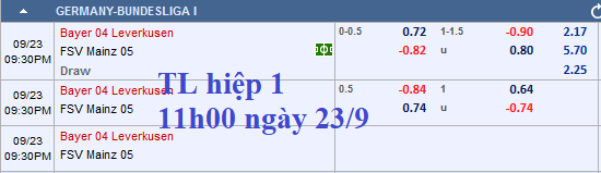 CHỐT KÈO TRỰC TIẾP trận Leverkusen vs Mainz 