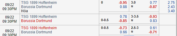 Nhận định bóng đá Hoffenheim vs Dortmund, 20h30 ngày 22/09: VĐQG Đức