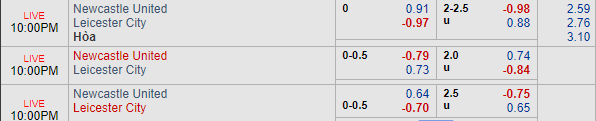 Nhận định bóng đá Newcastle vs Leicester, 21h00 ngày 29/09: Ngoại hạng Anh