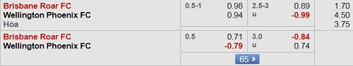 Nhận định Brisbane Roar vs Wellington, 13h00 ngày 28/10