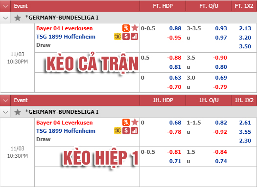 Nhận định bóng đá Leverkusen vs Hoffenheim, 21h30 ngày 03/11: VĐQG Đức