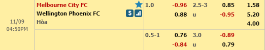 Nhận định bóng đá Melbourne City vs Wellington, 15h50 ngày 09/11: VĐQG Australia