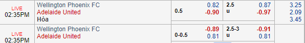 Nhận định bóng đá Wellington vs Adelaide Utd, 13h35 ngày 24/11: VĐQG Australia