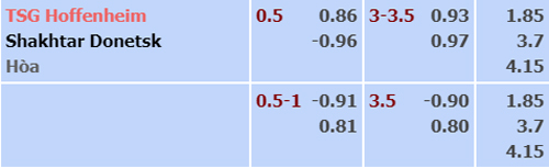 Nhận định Hoffenheim vs Shakhtar Donetsk, 03h00 ngày 28/11