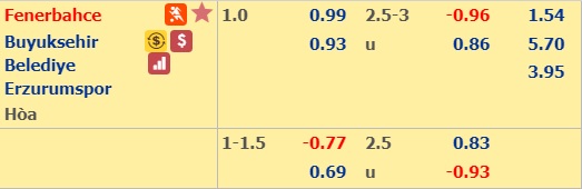 Soi kèo bóng đá Fenerbahce vs Erzurum BB