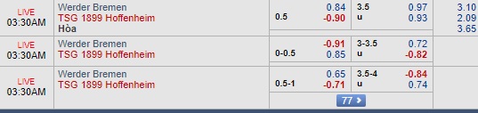 Nhận định Bremen vs Hoffenheim, 02h30 ngày 20/12: VĐQG Đức