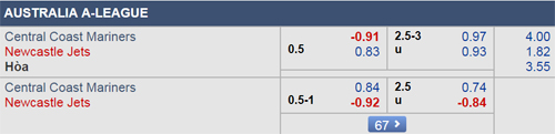 Nhận định Central Coast vs Newcastle Jets, 13h00 ngày 22/12