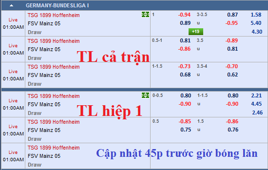 CHỐT KÈO TRỰC TIẾP trận Hoffenheim vs Mainz 05 (0h00)