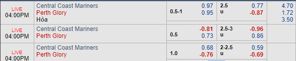 Nhận định bóng đá Central Coast vs Perth Glory, 15h00 ngày 31/12: VĐQG Australia