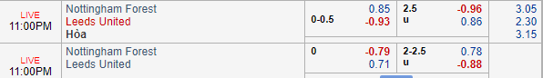 Nhận định bóng đá Nottingham vs Leeds Utd, 22h00 ngày 01/01/2019: Hạng nhất Anh