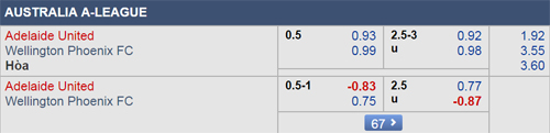 Nhận định Adelaide Utd vs Wellington, 13h35 ngày 05/1