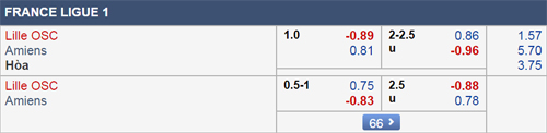 Nhận định Lille vs Amiens, 02h45 ngày 19/1