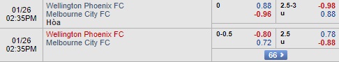 Nhận định Wellington vs Melbourne City, 13h35 ngày 26/1: VĐQG Australia