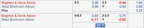 Nhận định Brighton vs West Brom, 22h00 ngày 26/1