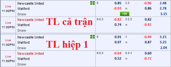 CHỐT KÈO TRỰC TIẾP trận Newcastle vs Watford (22h00)