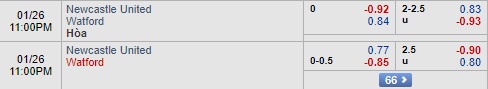 Nhận định Newcastle vs Watford, 22h00 ngày 26/1: FA Cup