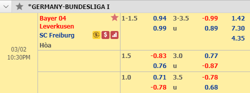 Nhận định bóng đá Leverkusen vs Freiburg, 21h30 ngày 2/3: VĐQG Đức