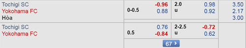 Nhận định Tochigi vs Yokohama FC, 12h00 ngày 10/3