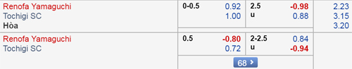 Nhận định Renofa vs Tochigi, 14h00 ngày 24/3