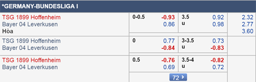 Nhận định Hoffenheim vs Leverkusen, 02h30 ngày 30/3