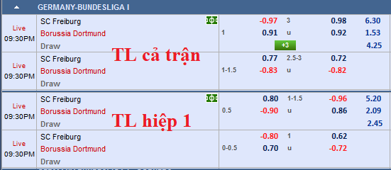 CHỐT KÈO TRỰC TIẾP trận Freiburg vs Dortmund (20h30)