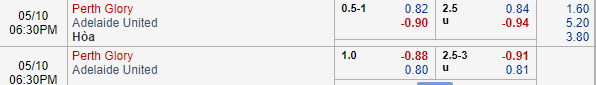 Nhận định bóng đá Perth Glory vs Adelaide United, 17h30 ngày 10/05: VĐQG Australia