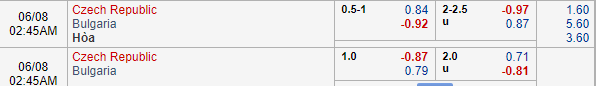 Nhận định bóng đá Séc vs Bulgaria, 01h45 ngày 08/06: Vòng loại Euro 2020