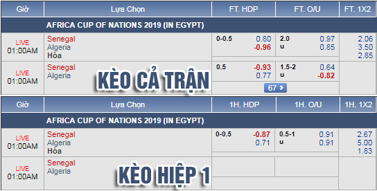 Nhận định bóng đá Senegal vs Algeria, 00h00 ngày 28/6: CAN Cup 2019