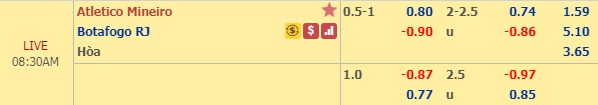 Nhận định Atletico Mineiro vs Botafogo, 07h30 ngày 1/8: Copa Sudamericana