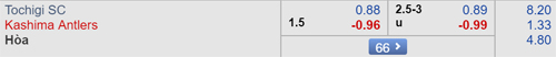 Nhận định Tochigi vs Kashima Antlers, 17h00 ngày 14/8