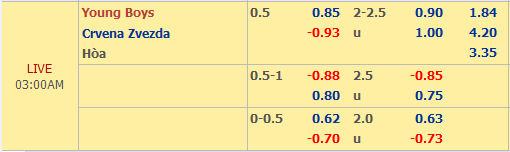 Young-Boys-vs-Crvena-Zvezda