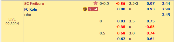 Freiburg-vs-Cologne