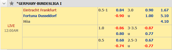 Eintracht-Frankfurt-Dusseldorf