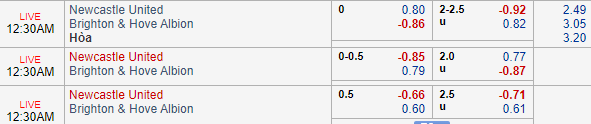 Nhận định bóng đá Newcastle vs Brighton, 23h30 ngày 21/09: Ngoại hạng Anh