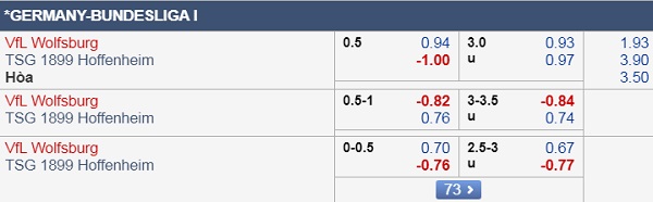 Nhận định Wolfsburg vs Hoffenheim, 01h30 ngày 24/9