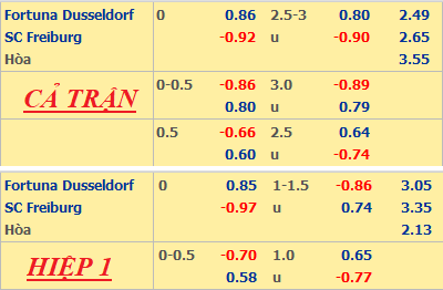 Dusseldorf-vs-Freiburg