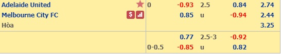 Nhận định Adelaide United vs Melbourne City