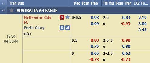 Nhận định bóng đá Melbourne City vs Perth Glory, 15h30 ngày 6/12: VĐQG Australia