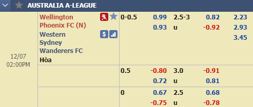 Nhận định bóng đá Wellington Western Sydney, 13h00 ngày 7/12: VĐQG Australia