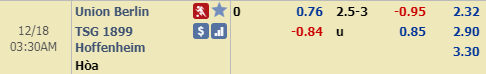 Nhận định bóng đá Union Berlin vs Hoffenheim, 02h30 ngày 18/12: VĐQG Đức