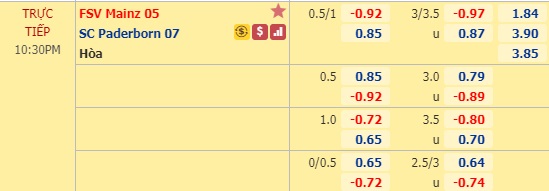 Nhận định Mainz vs Paderborn, 21h30 ngày 29/2: VĐQG Đức