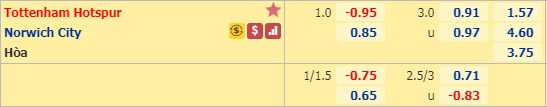 Soi kèo Tottenham vs Norwich