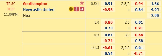 Nhận định Southampton vs Newcastle, 22h00 ngày 7/3: Ngoại hạng Anh
